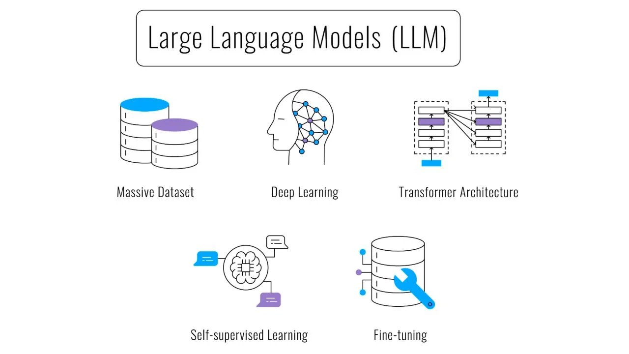 LLM training